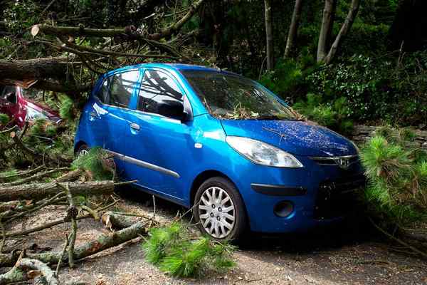 multi car insurance uk